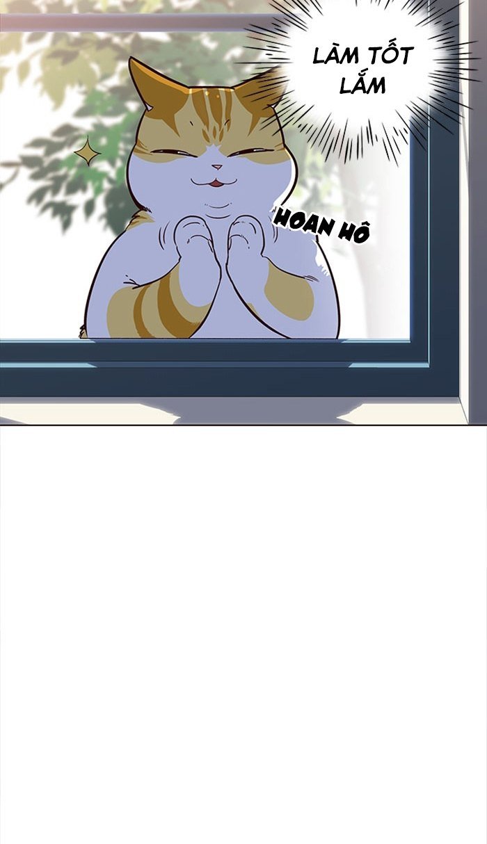 Đọc truyện Hoá thân thành mèo - Chap 18