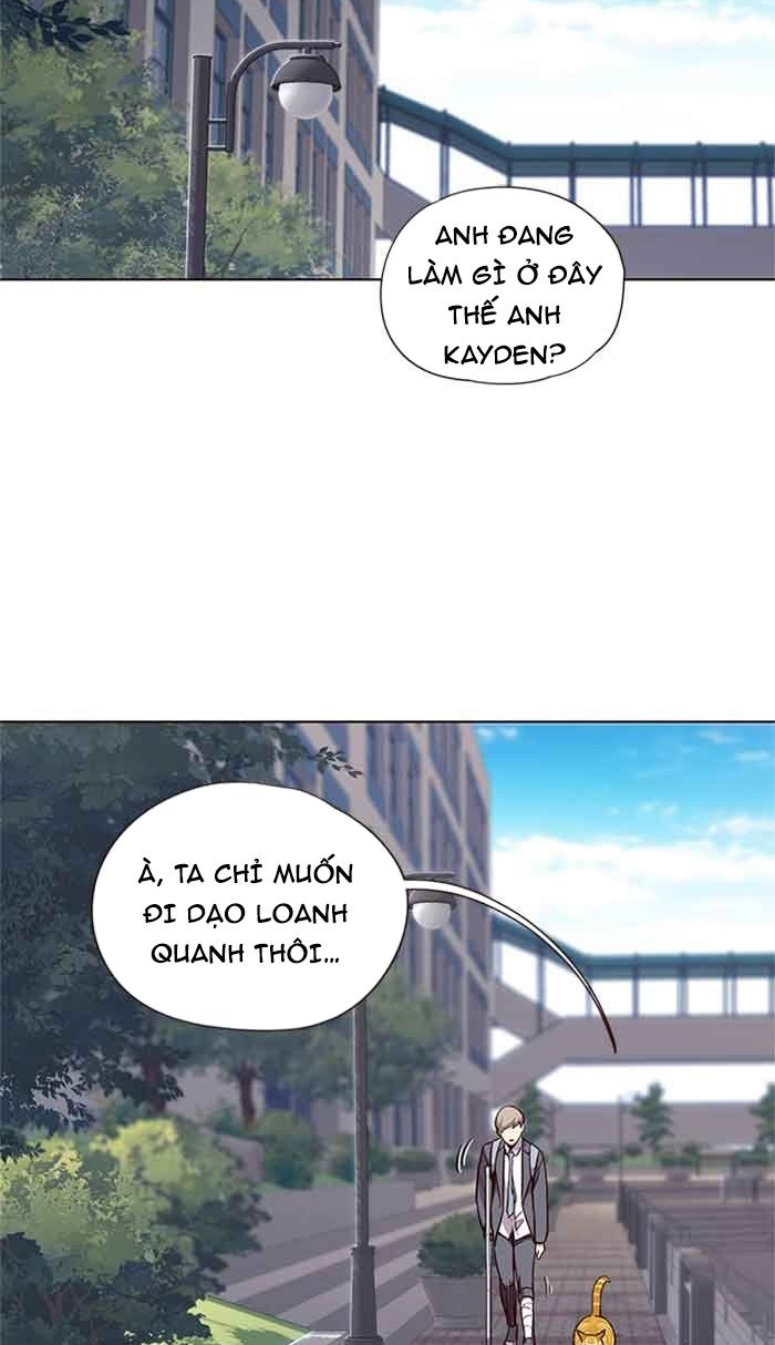 Đọc truyện Hoá thân thành mèo - Chap 18