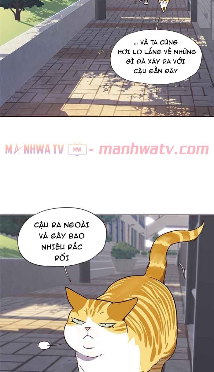 Đọc truyện Hoá thân thành mèo - Chap 18