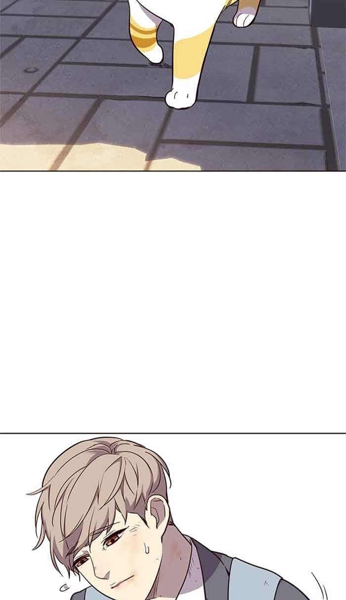 Đọc truyện Hoá thân thành mèo - Chap 18