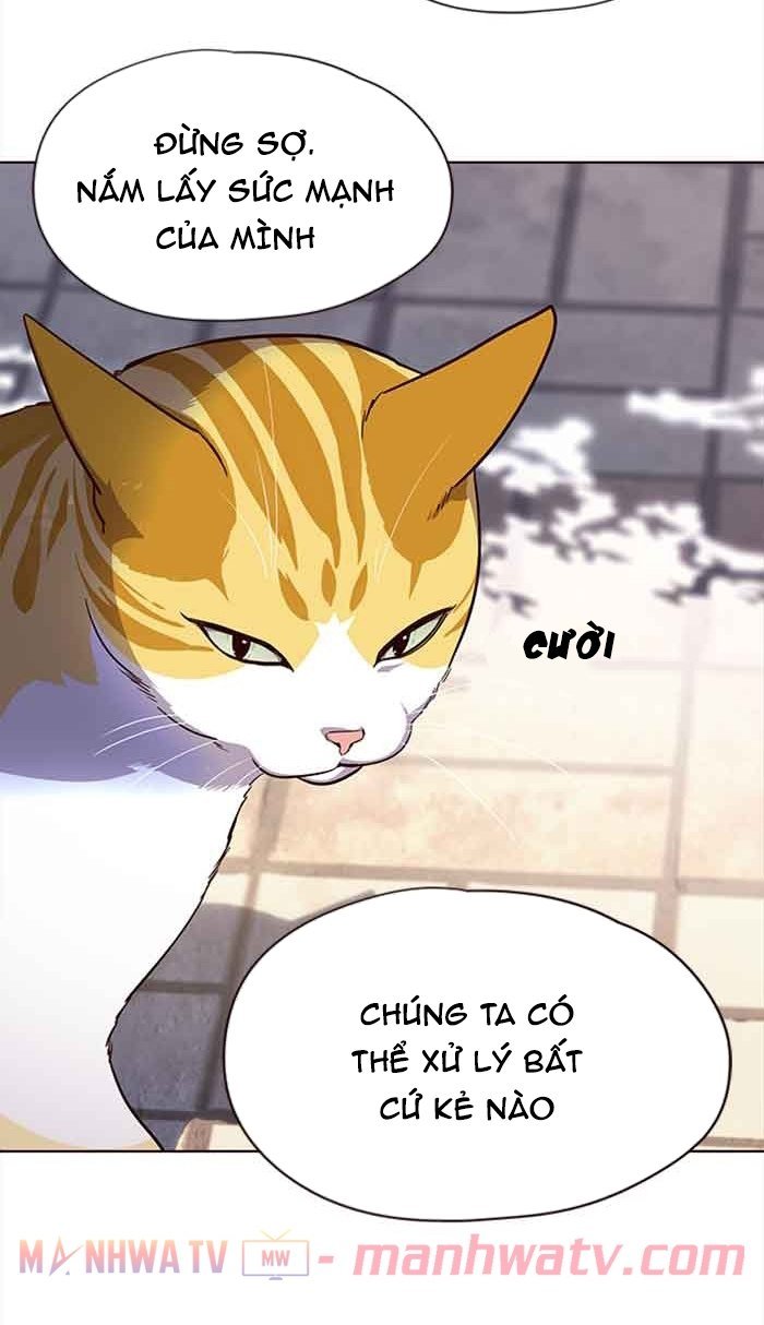 Đọc truyện Hoá thân thành mèo - Chap 18
