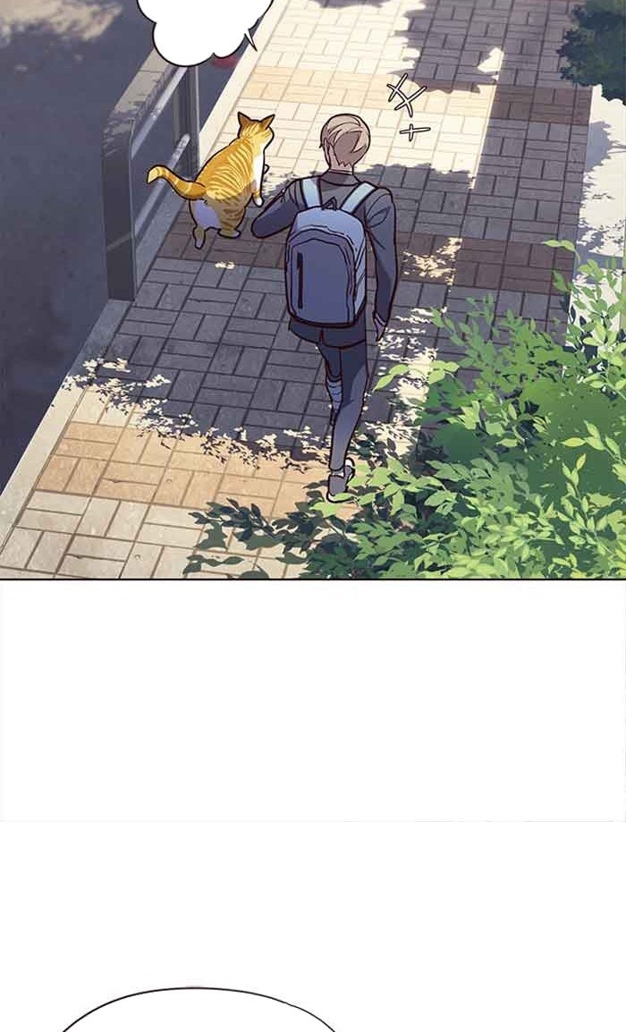 Đọc truyện Hoá thân thành mèo - Chap 18