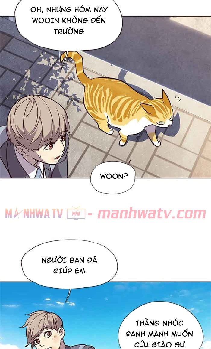 Đọc truyện Hoá thân thành mèo - Chap 18