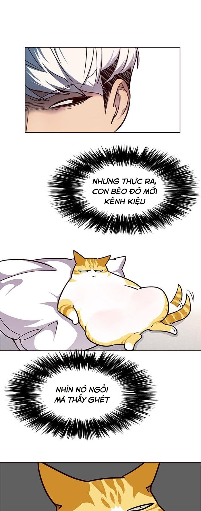 Đọc truyện Hoá thân thành mèo - Chap 39