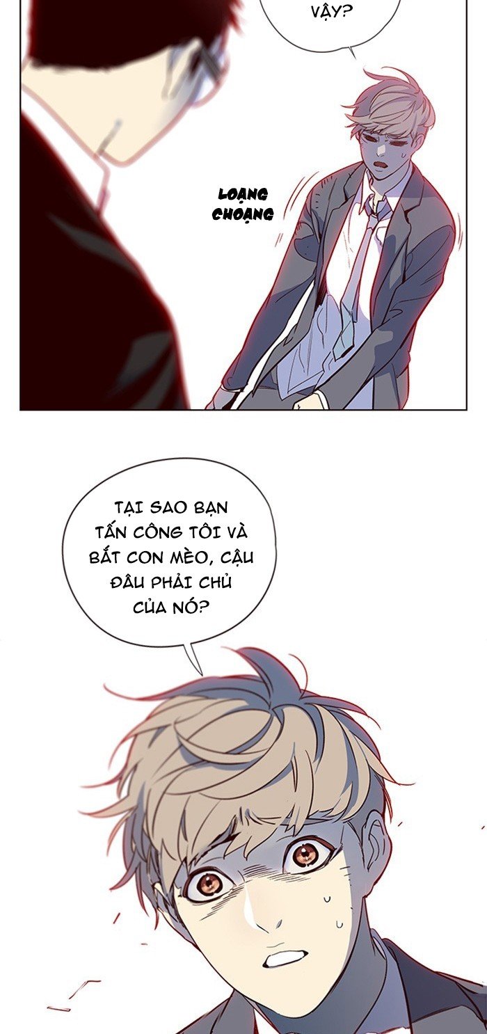 Đọc truyện Hoá thân thành mèo - Chap 12