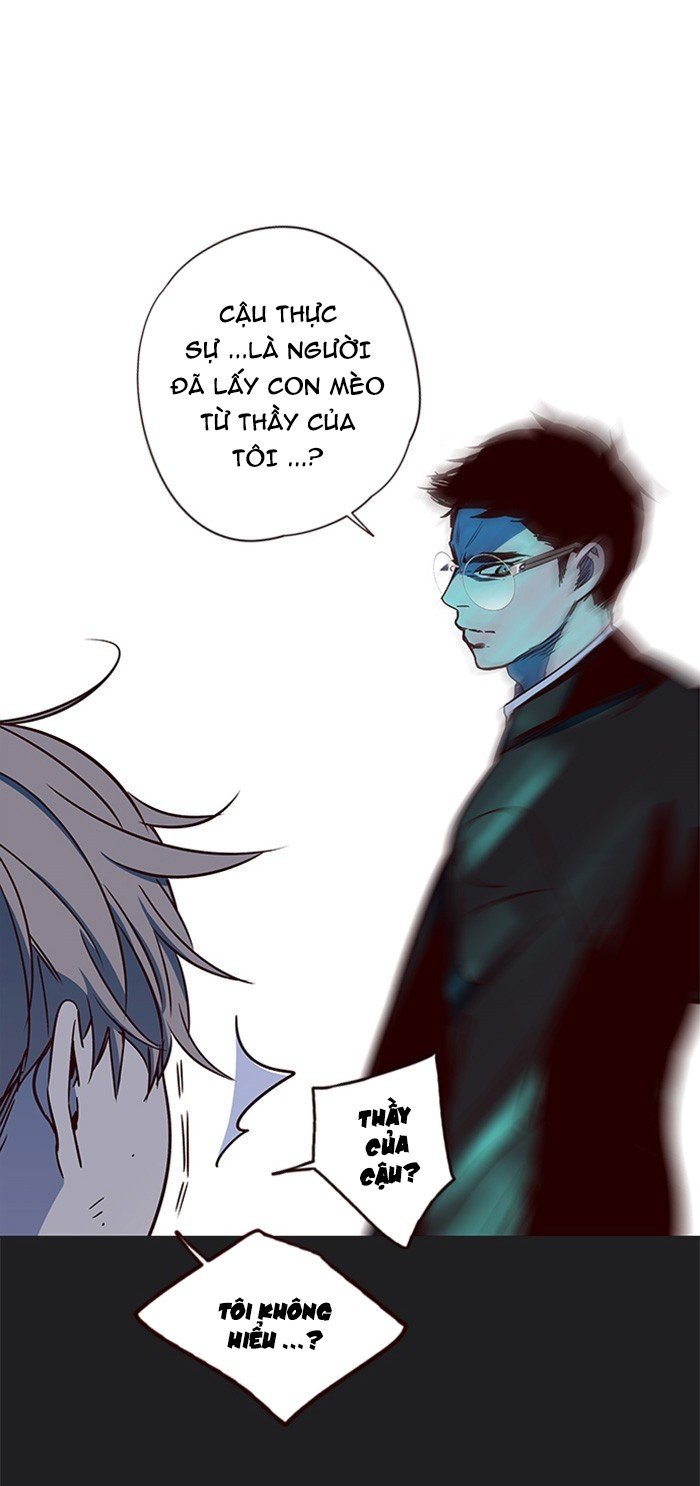 Đọc truyện Hoá thân thành mèo - Chap 12