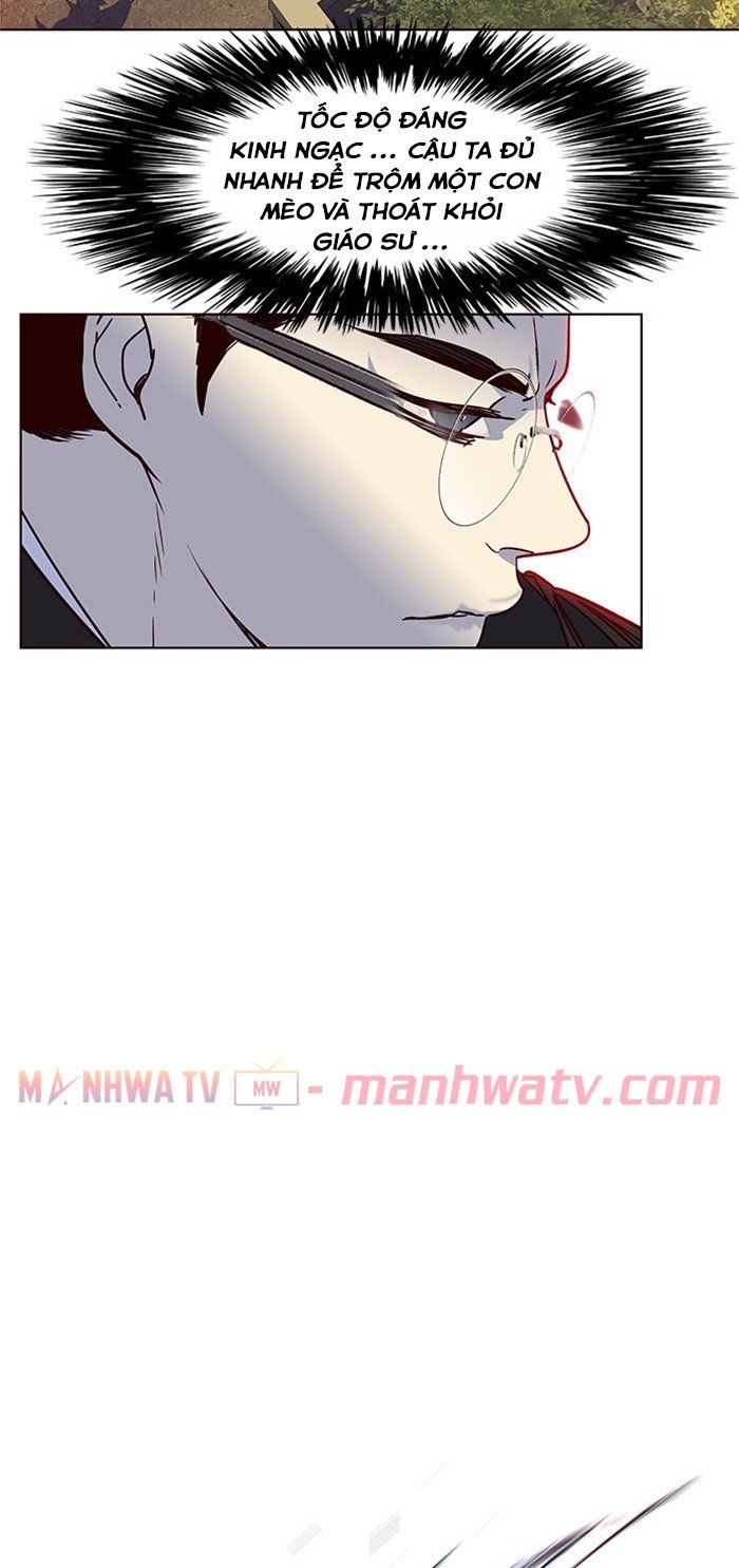 Đọc truyện Hoá thân thành mèo - Chap 12