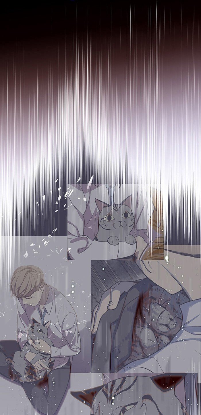 Đọc truyện Hoá thân thành mèo - Chap 12