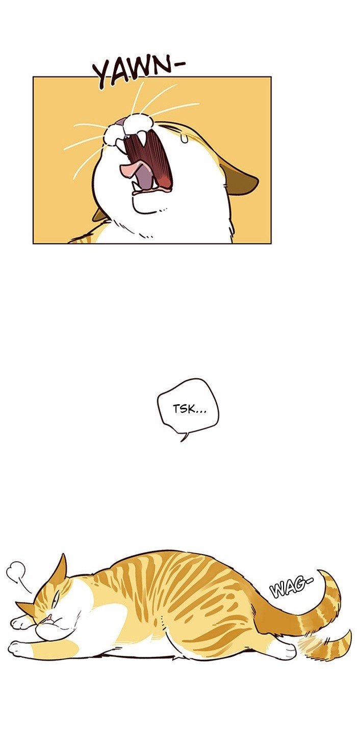 Đọc truyện Hoá thân thành mèo - Chap 12