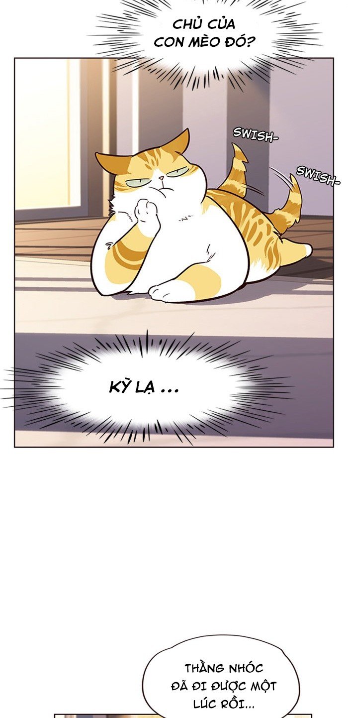 Đọc truyện Hoá thân thành mèo - Chap 12