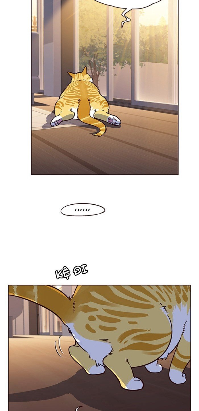 Đọc truyện Hoá thân thành mèo - Chap 12