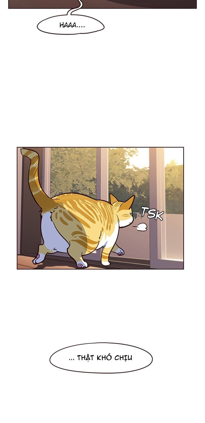 Đọc truyện Hoá thân thành mèo - Chap 12
