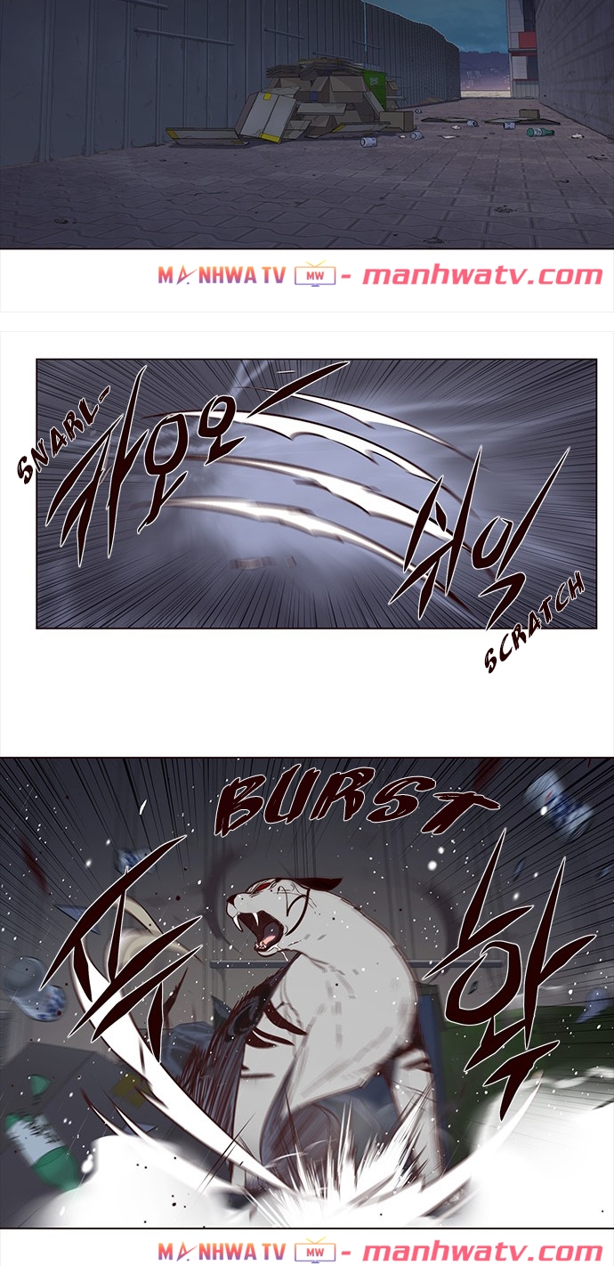 Đọc truyện Hoá thân thành mèo - Chap 3