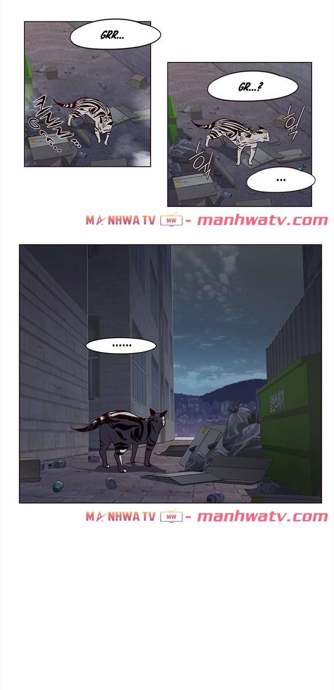Đọc truyện Hoá thân thành mèo - Chap 3