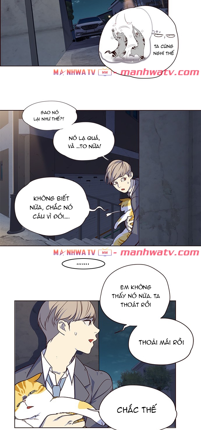 Đọc truyện Hoá thân thành mèo - Chap 3