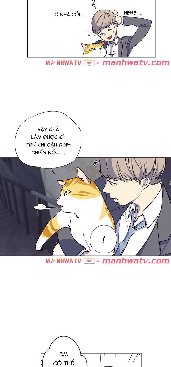 Đọc truyện Hoá thân thành mèo - Chap 3