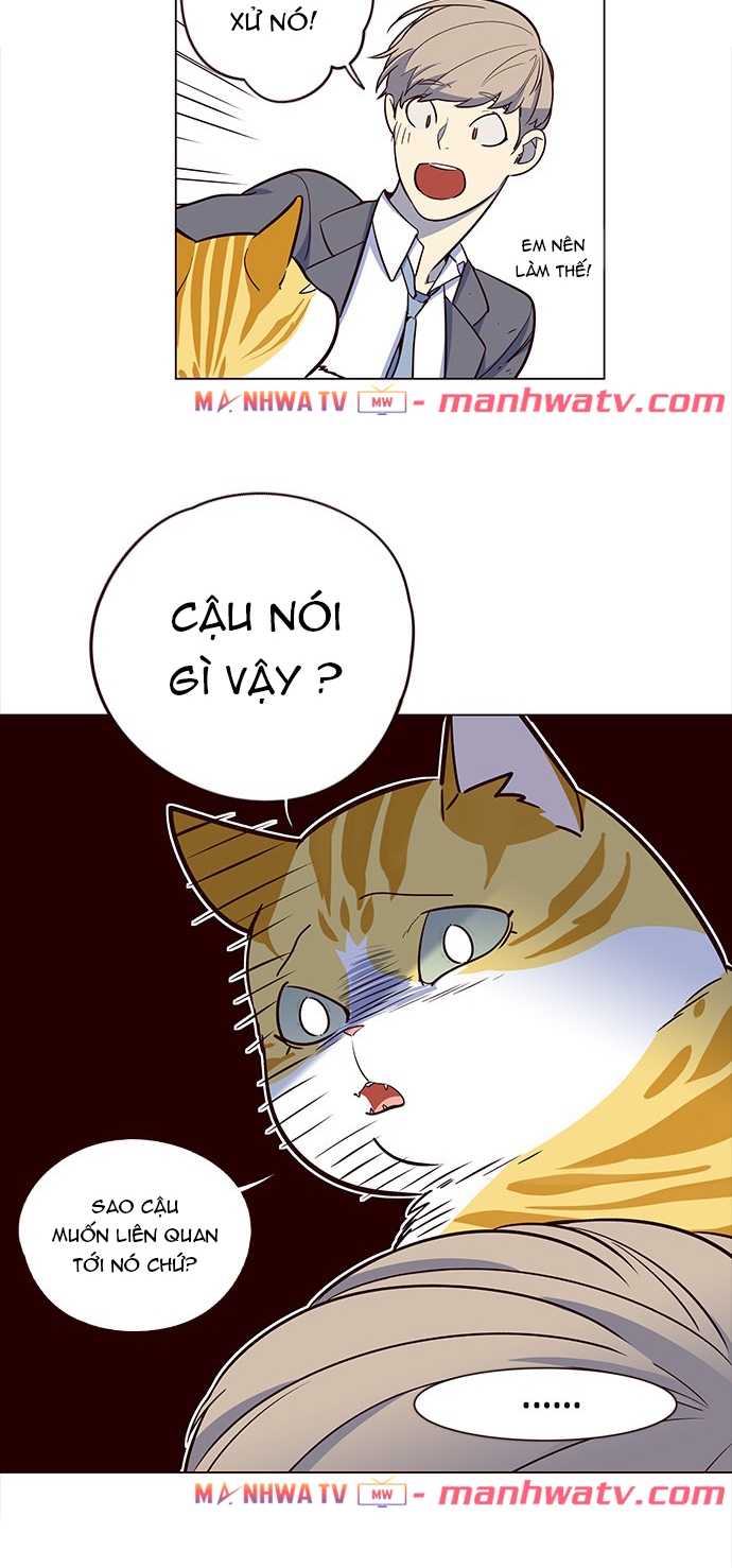 Đọc truyện Hoá thân thành mèo - Chap 3