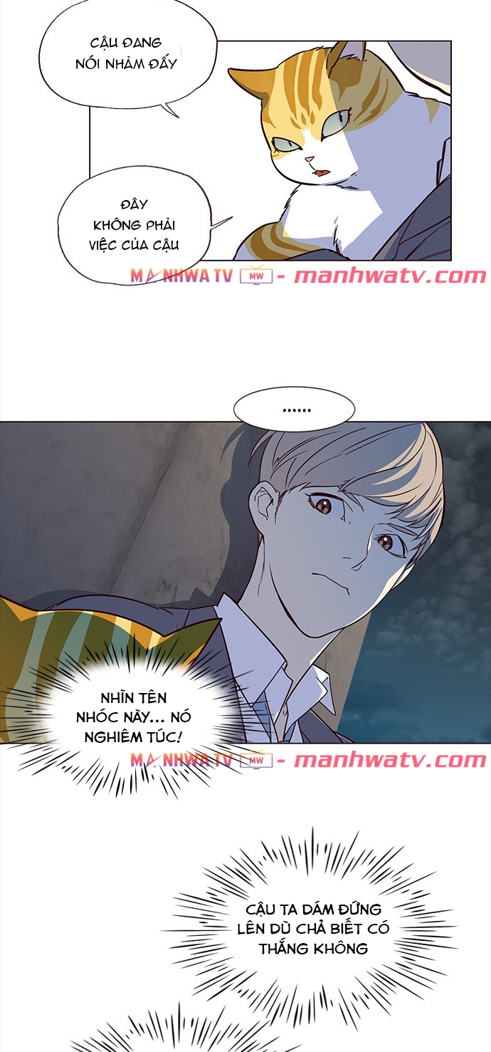 Đọc truyện Hoá thân thành mèo - Chap 3