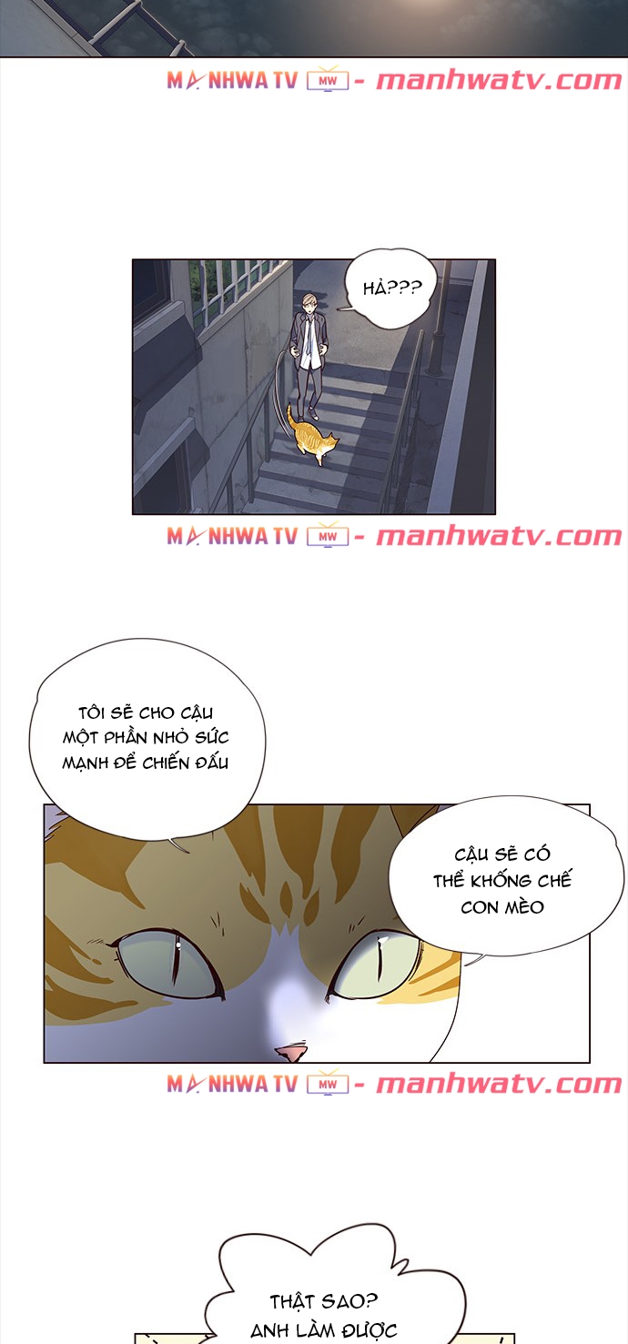 Đọc truyện Hoá thân thành mèo - Chap 3