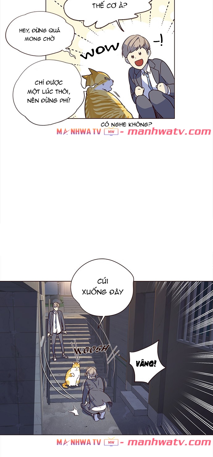 Đọc truyện Hoá thân thành mèo - Chap 3