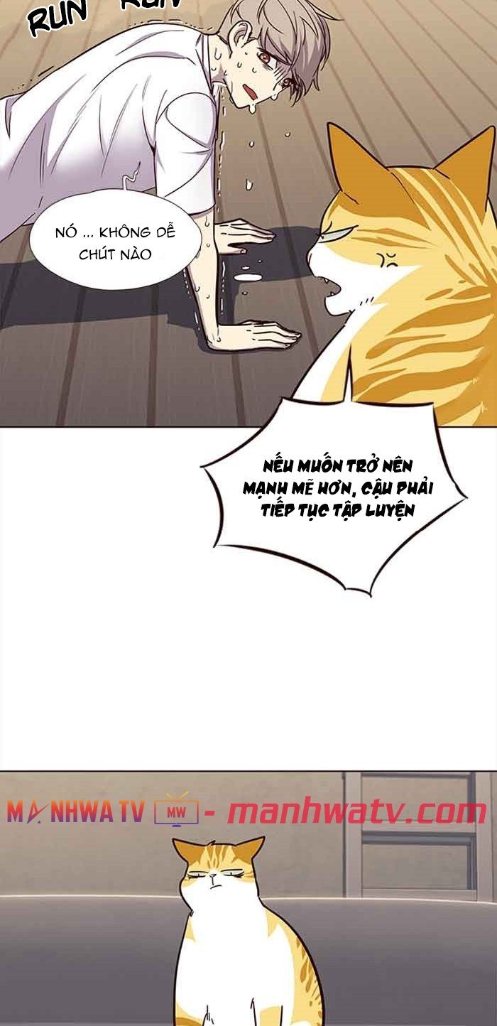 Đọc truyện Hoá thân thành mèo - Chap 23