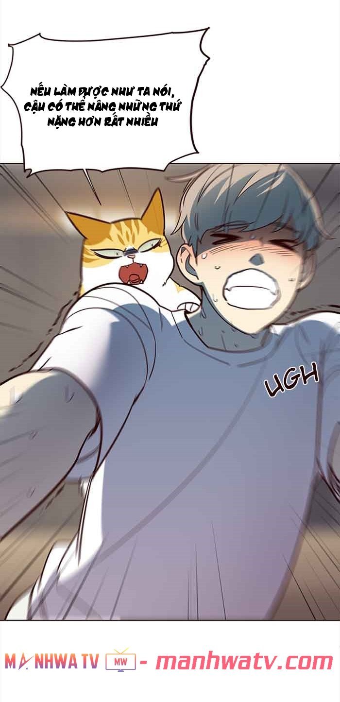 Đọc truyện Hoá thân thành mèo - Chap 23