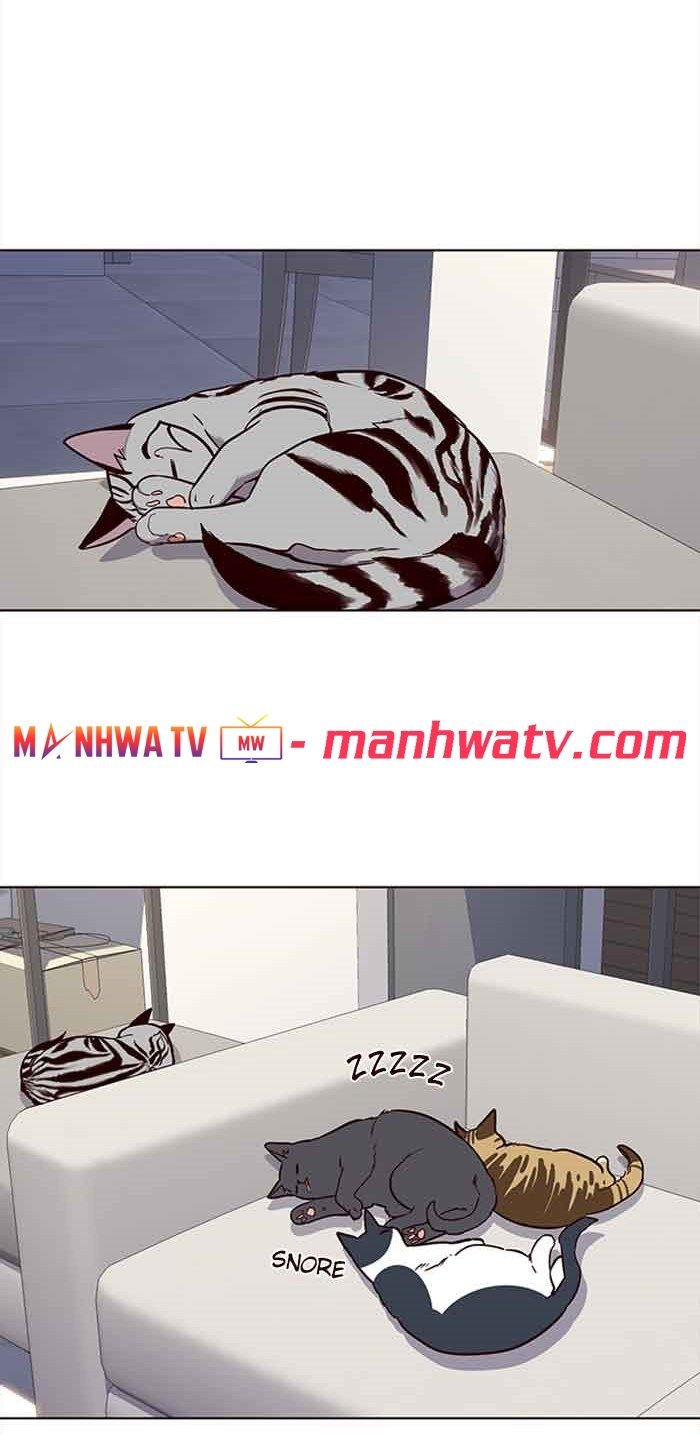 Đọc truyện Hoá thân thành mèo - Chap 23