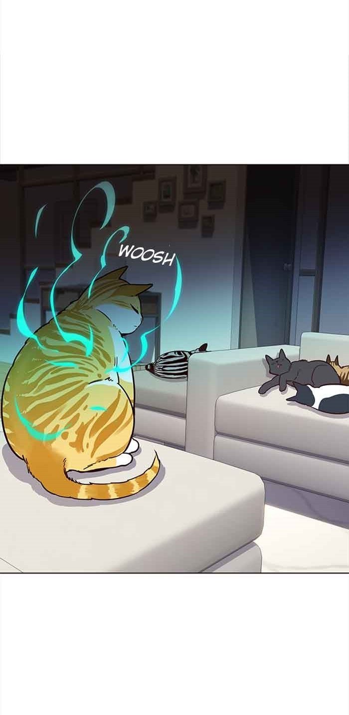 Đọc truyện Hoá thân thành mèo - Chap 23