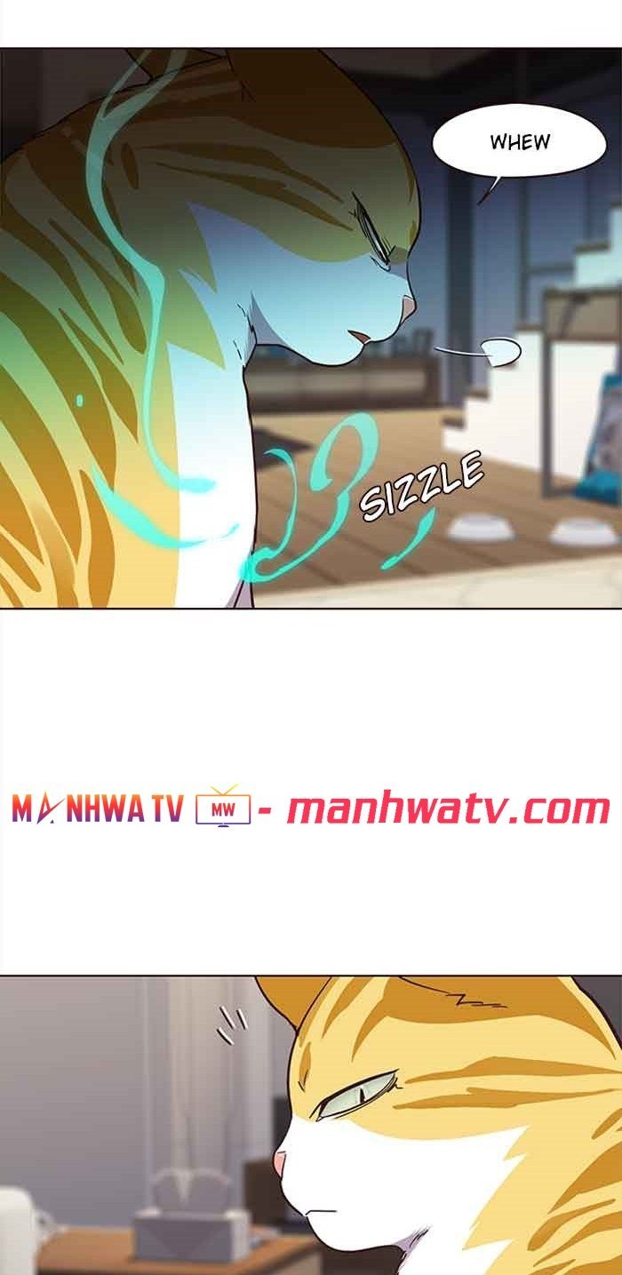 Đọc truyện Hoá thân thành mèo - Chap 23