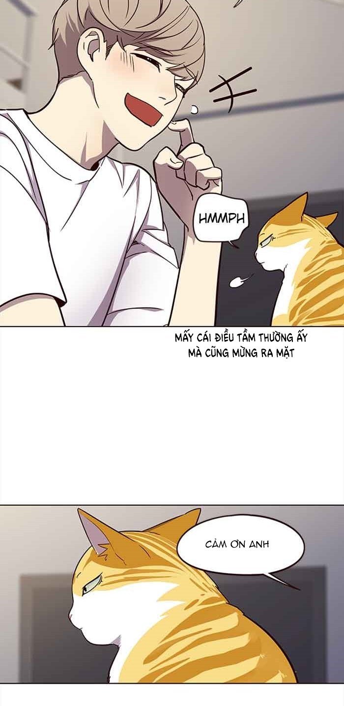 Đọc truyện Hoá thân thành mèo - Chap 23