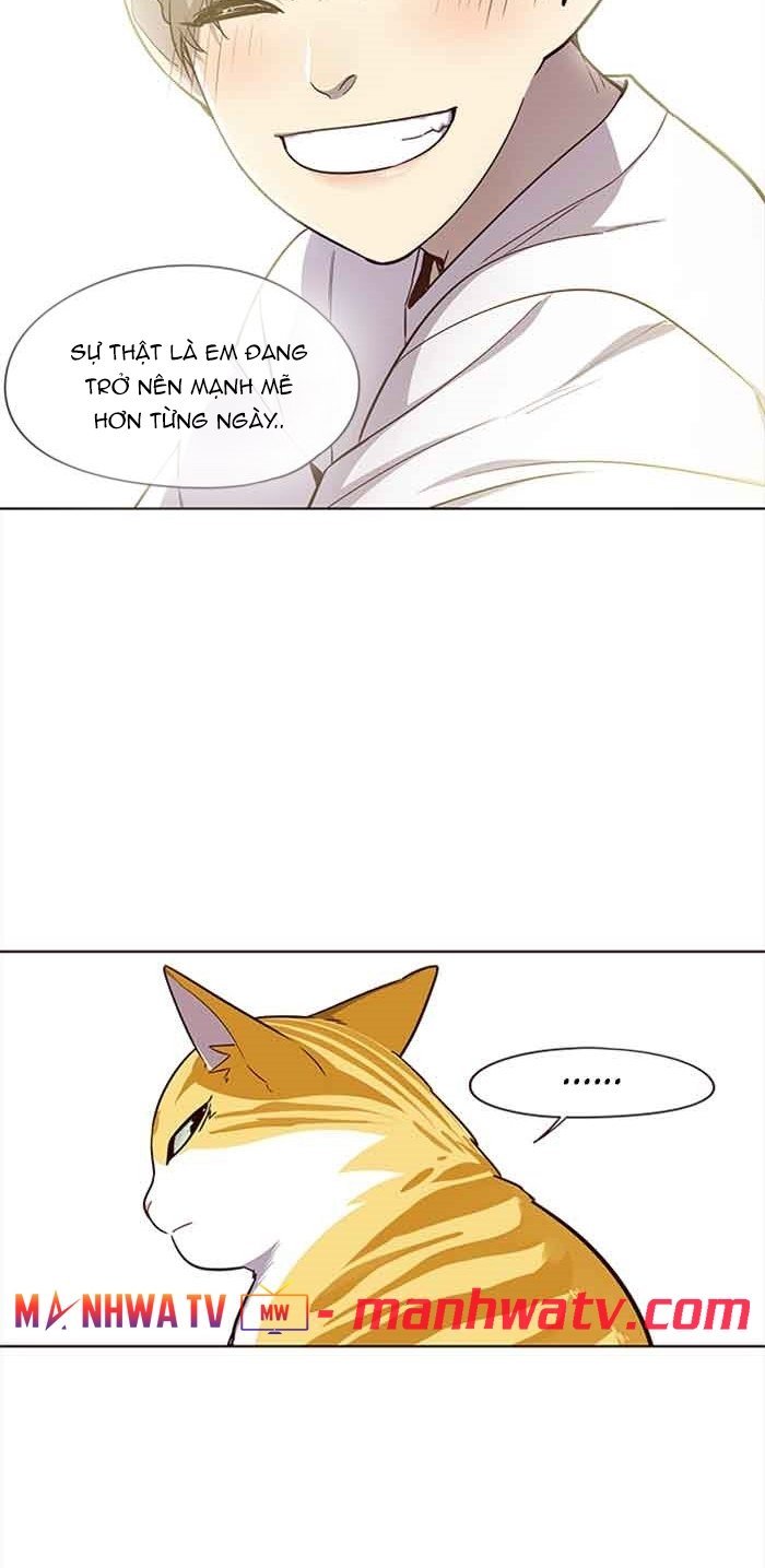 Đọc truyện Hoá thân thành mèo - Chap 23