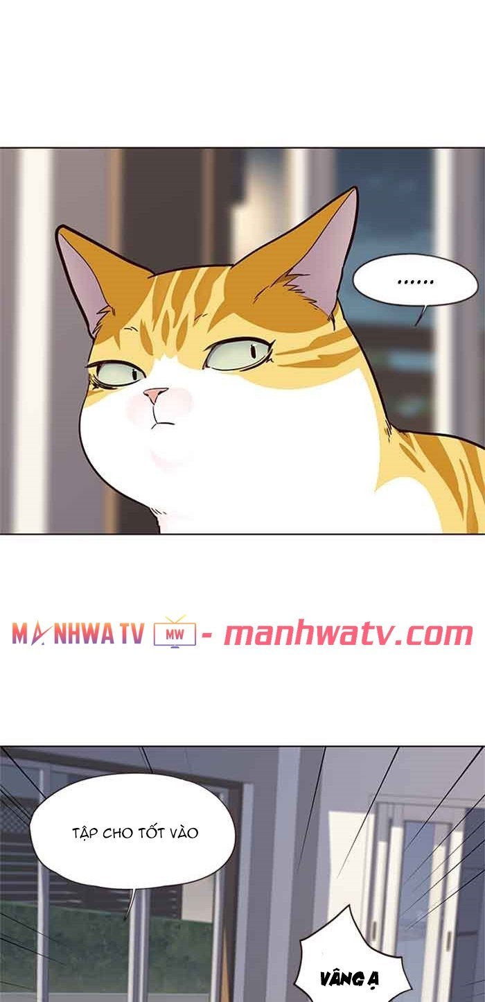 Đọc truyện Hoá thân thành mèo - Chap 23