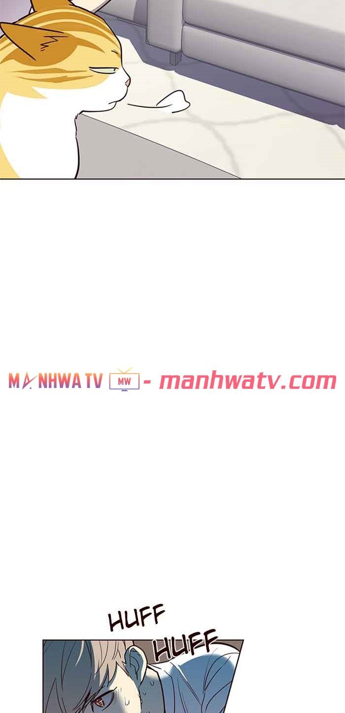 Đọc truyện Hoá thân thành mèo - Chap 23