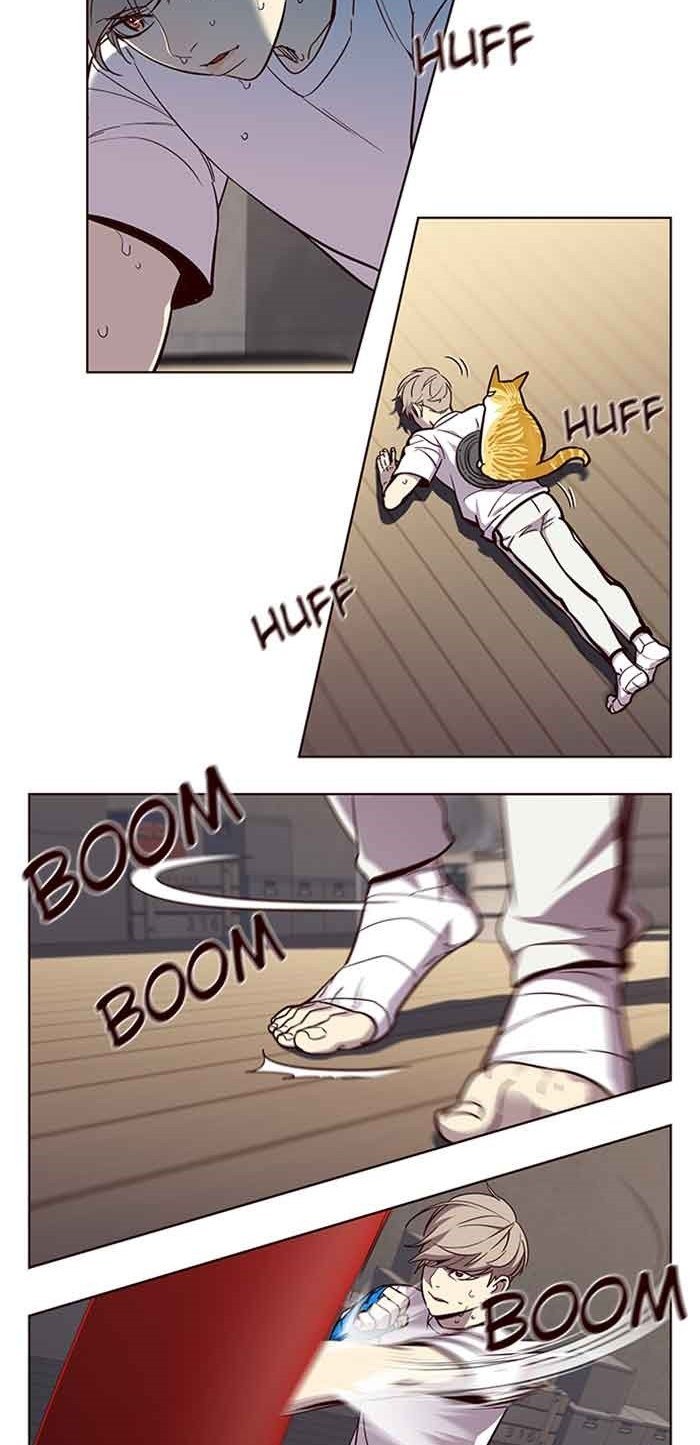 Đọc truyện Hoá thân thành mèo - Chap 23