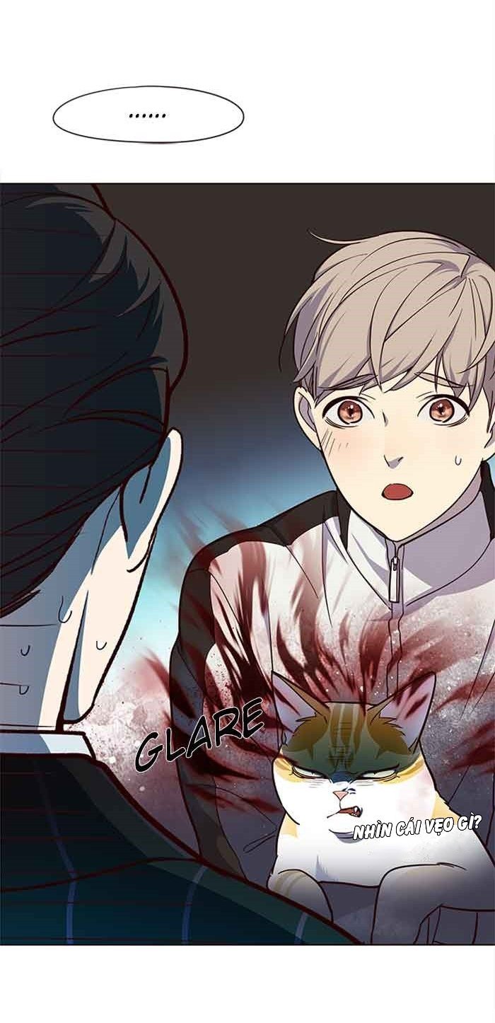 Đọc truyện Hoá thân thành mèo - Chap 23