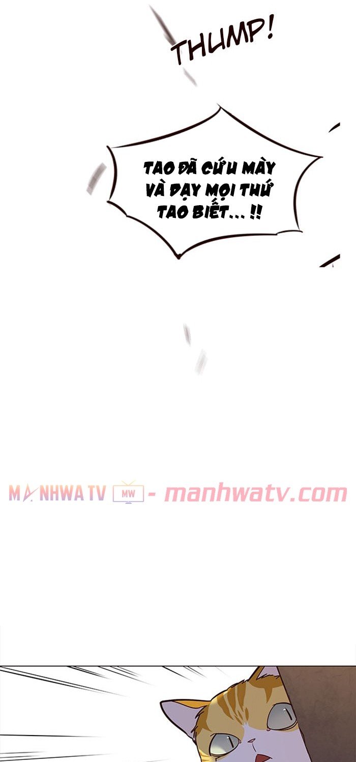 Đọc truyện Hoá thân thành mèo - Chap 14