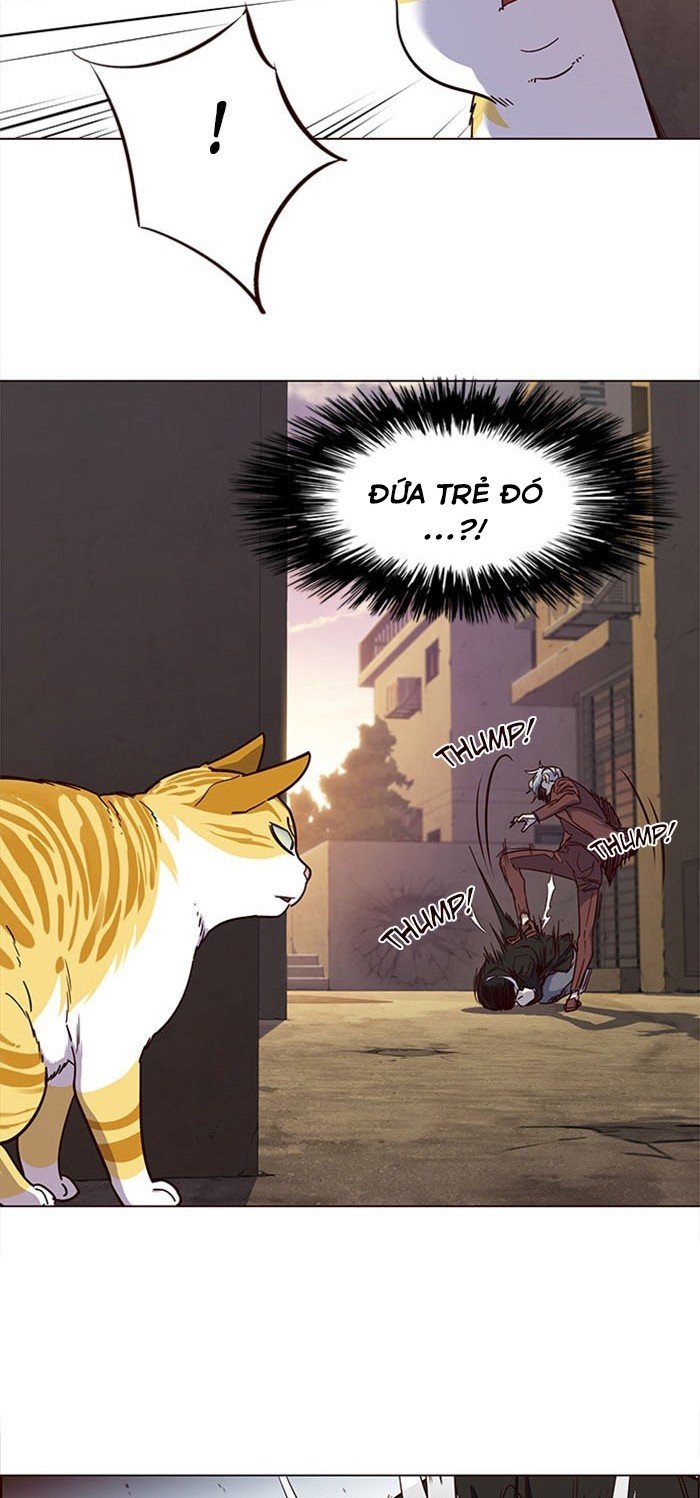 Đọc truyện Hoá thân thành mèo - Chap 14