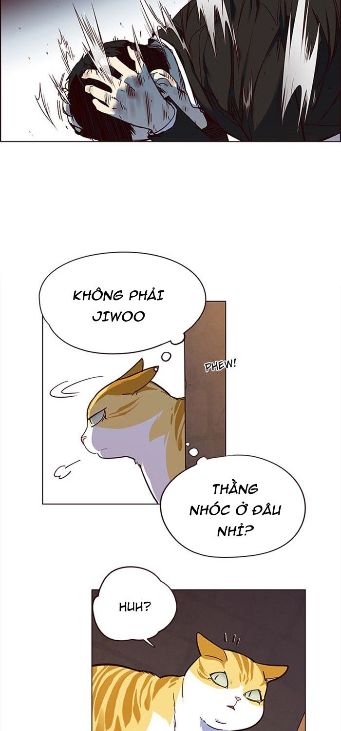 Đọc truyện Hoá thân thành mèo - Chap 14