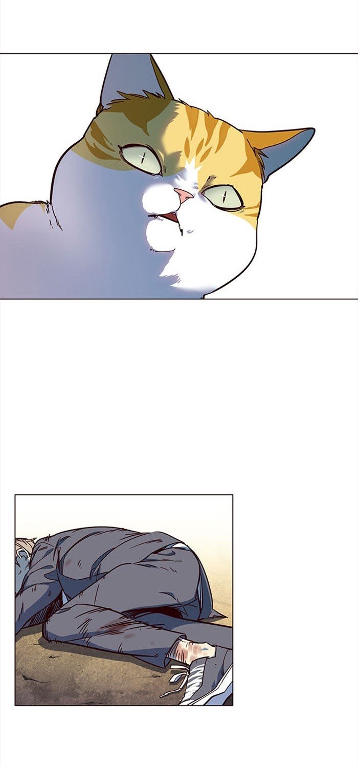 Đọc truyện Hoá thân thành mèo - Chap 14