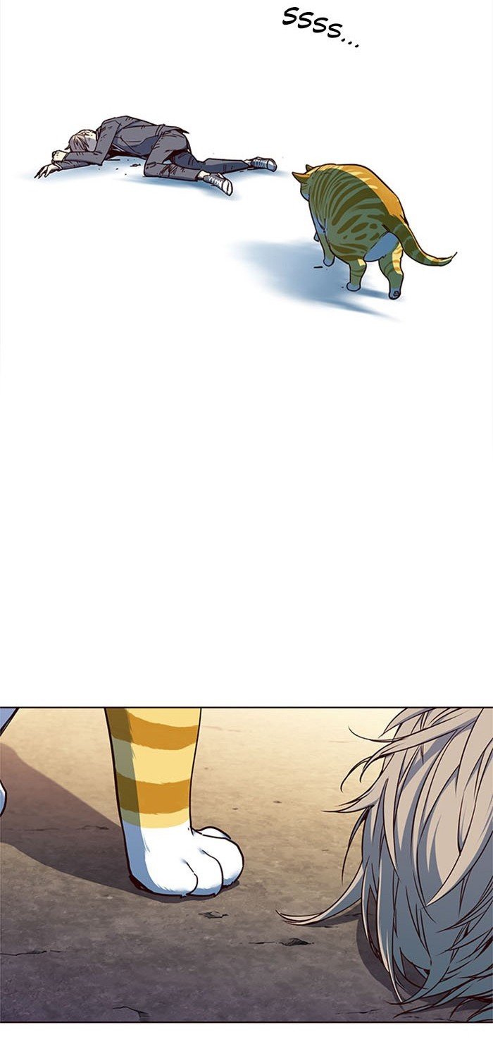 Đọc truyện Hoá thân thành mèo - Chap 14