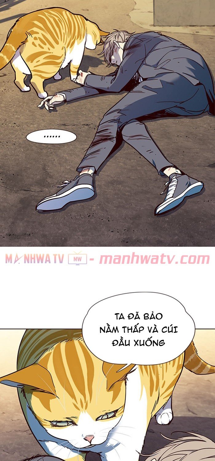 Đọc truyện Hoá thân thành mèo - Chap 14