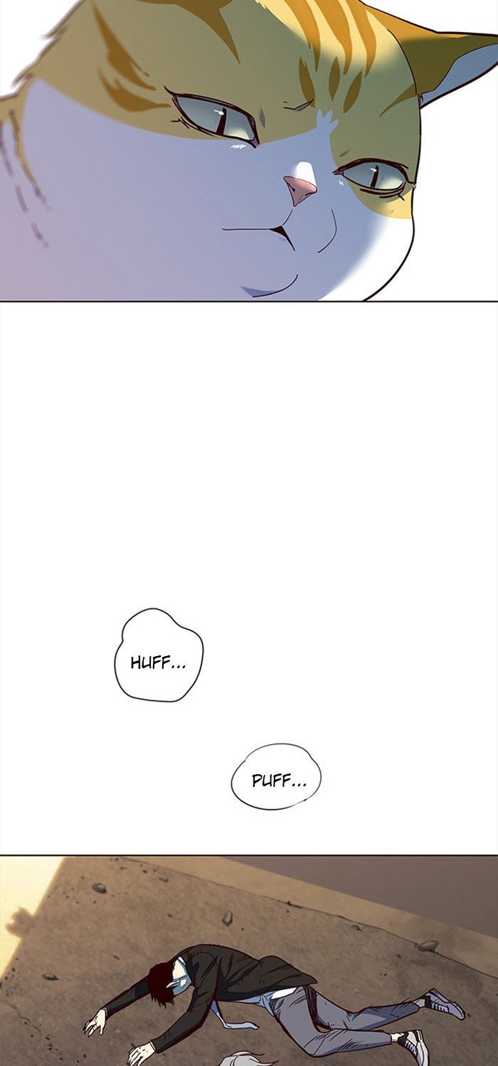 Đọc truyện Hoá thân thành mèo - Chap 14