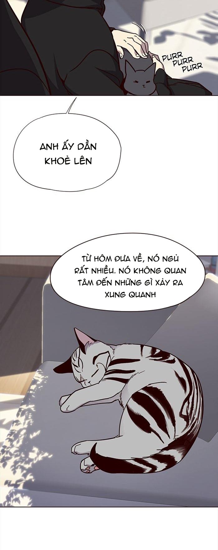 Đọc truyện Hoá thân thành mèo - Chap 34