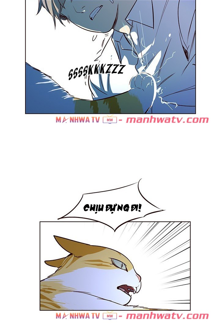 Đọc truyện Hoá thân thành mèo - Chap 8