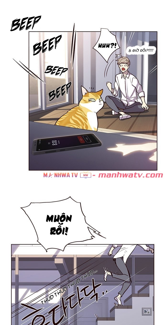 Đọc truyện Hoá thân thành mèo - Chap 9
