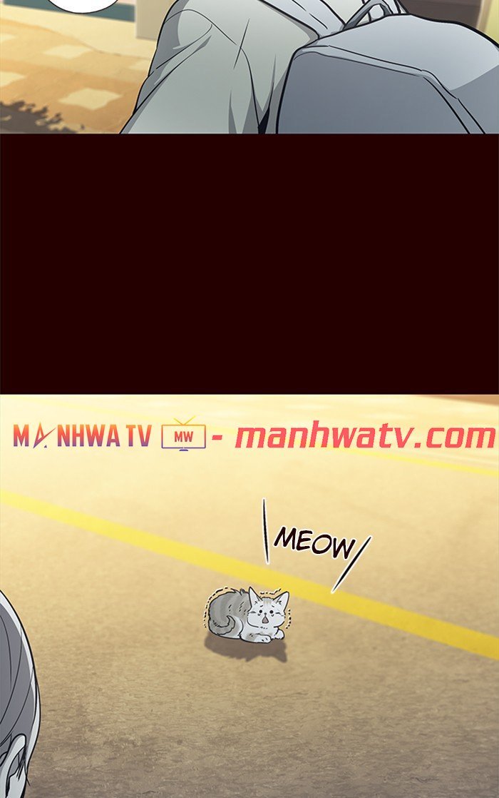 Đọc truyện Hoá thân thành mèo - Chap 27