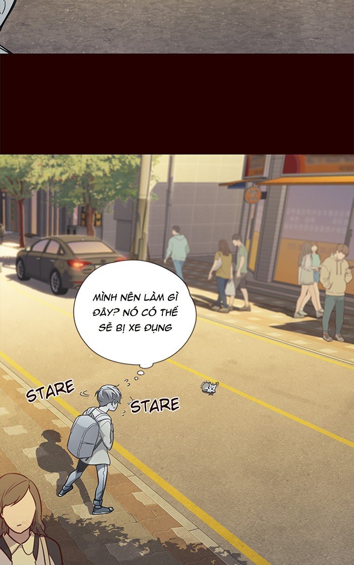 Đọc truyện Hoá thân thành mèo - Chap 27