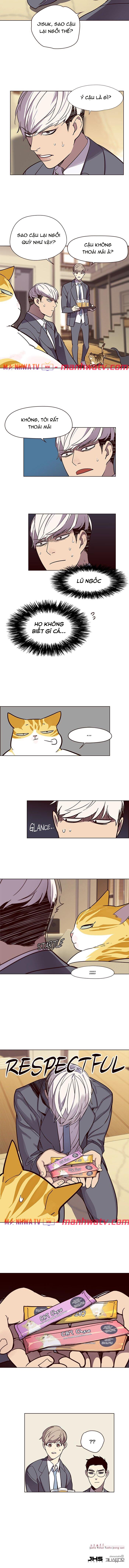 Đọc truyện Hoá thân thành mèo - Chap 49