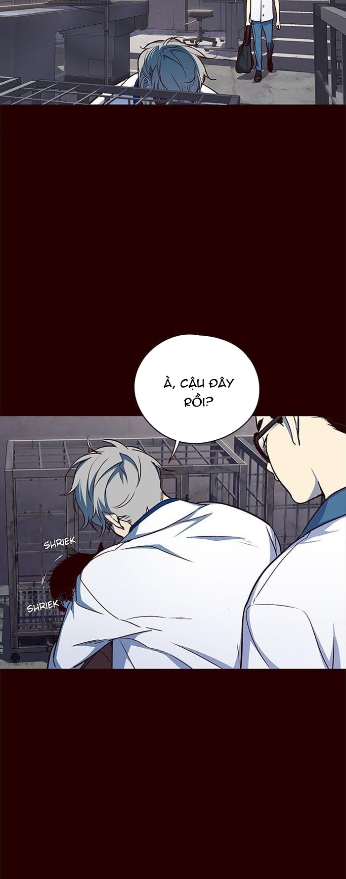 Đọc truyện Hoá thân thành mèo - Chap 36