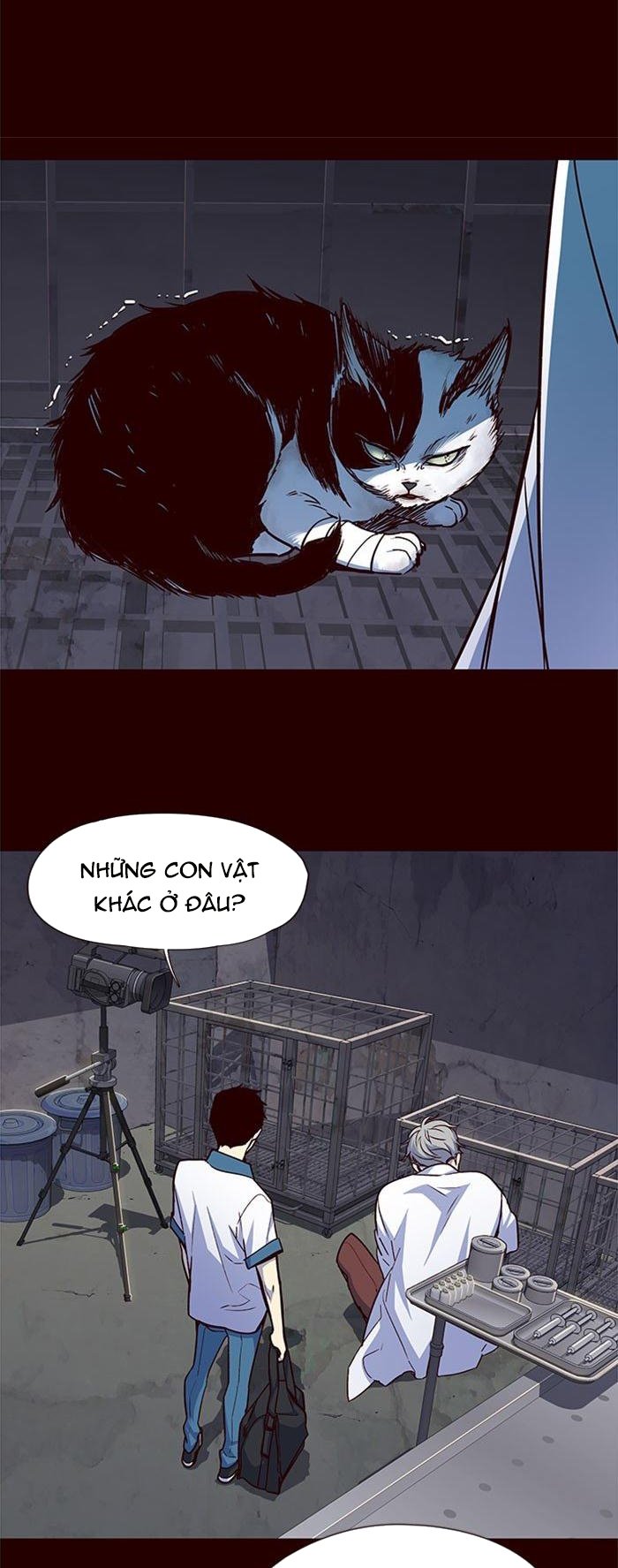 Đọc truyện Hoá thân thành mèo - Chap 36